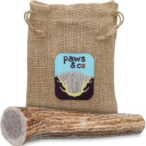 Whole Antler Dog Chew