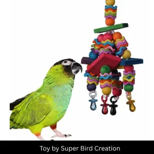 Wiggles and Wafers Bird Toy by SBC