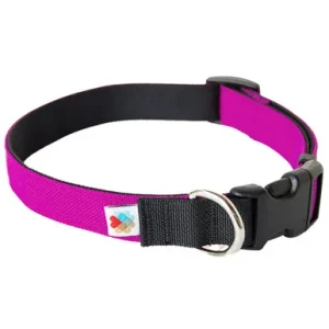 Wildebeest Fuchsia Funston Classic Dog Collar