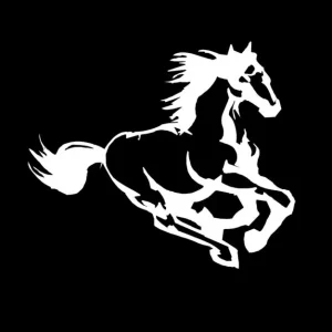 Window Decals