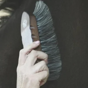 Wood Handle 7.5 Inch Horse Hair Brush