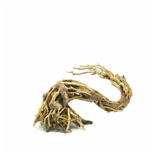 X-Large Size Dragon's Tail Bonsai Driftwood Tree M097