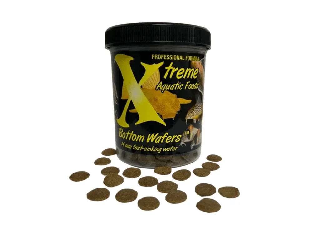 Xtreme Bottom Wafer 14mm, 5oz