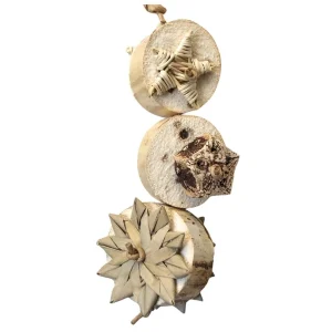 Yucca Coins Bird Toy