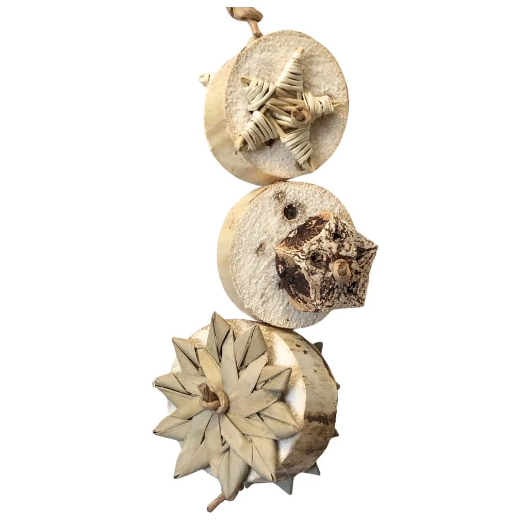 Yucca Coins Bird Toy