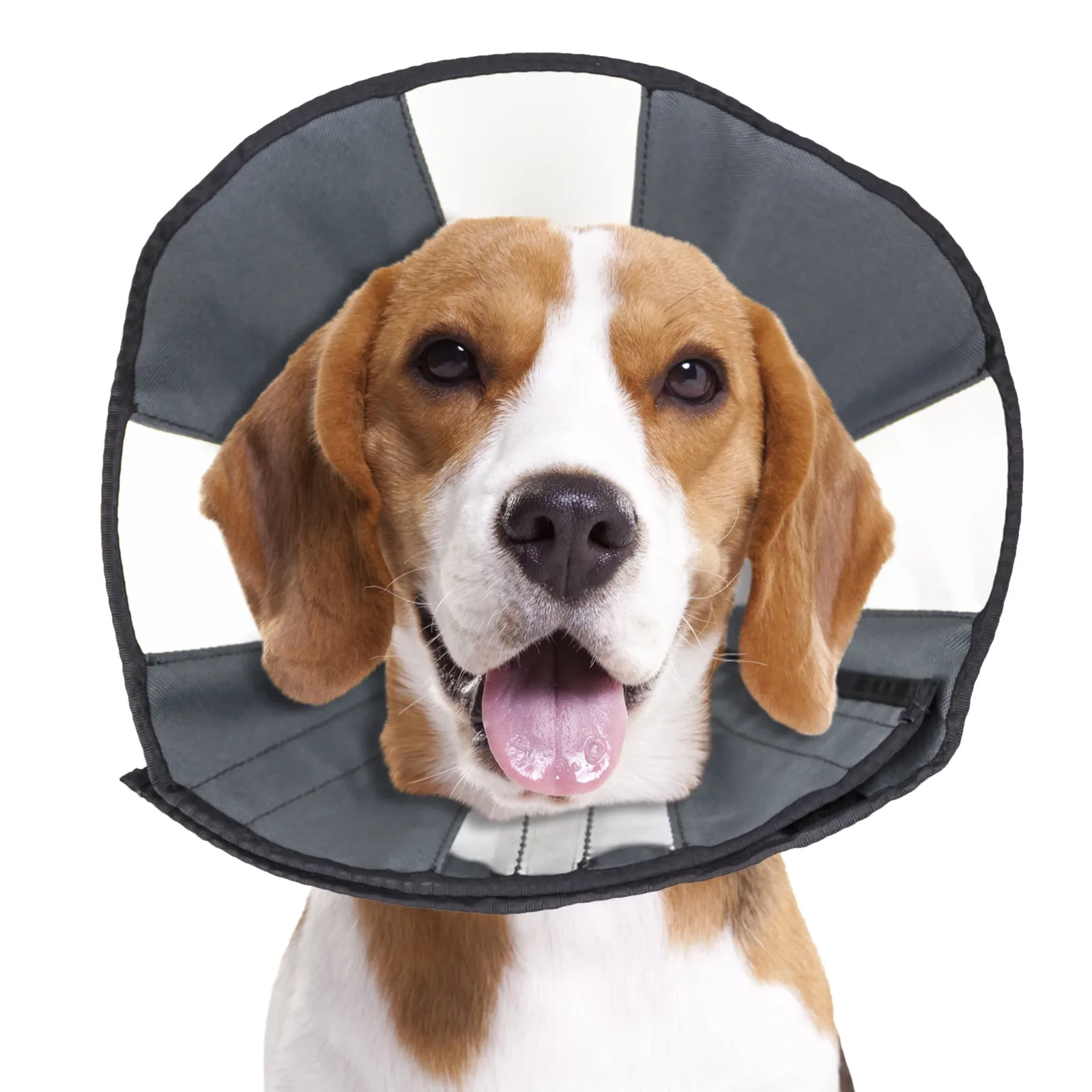 ZenPet ZenCone Original Soft Recovery Cone for Dogs - Image 2