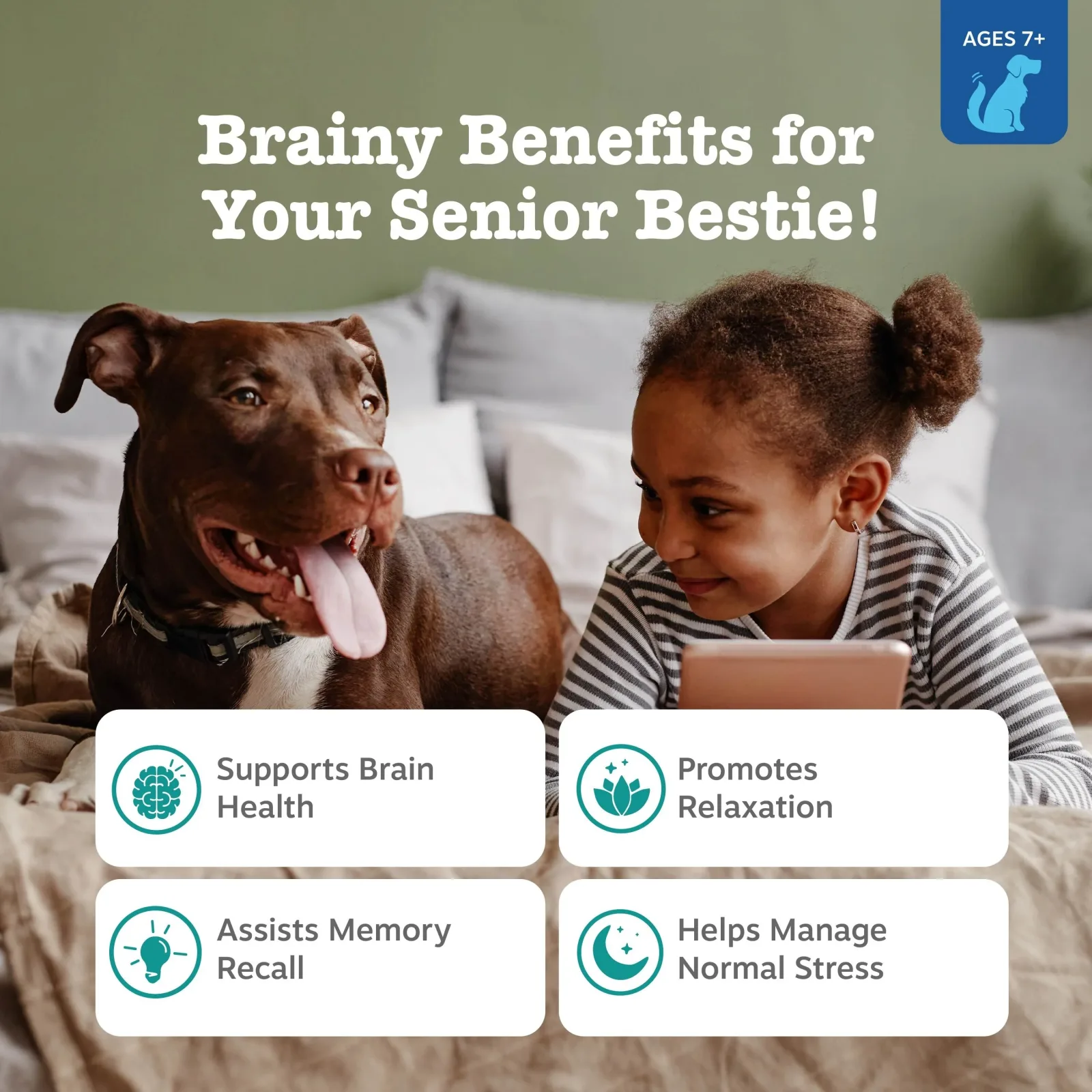 Zesty Paws Senior Advanced Calming + Cognition Bites, Chicken Flavor, 90ct for Dogs - Image 2