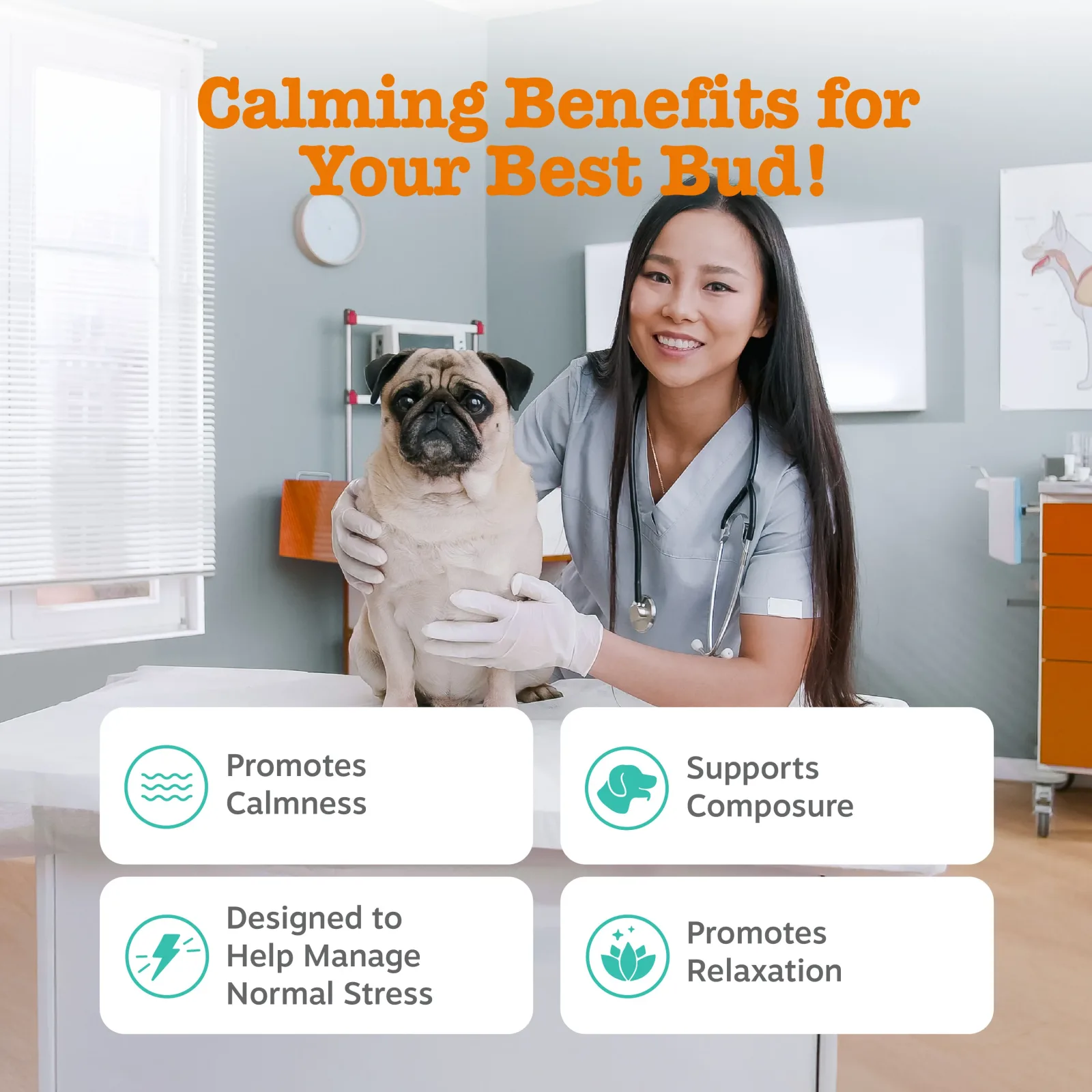 Zesty Paws Vet Strength Calming Bites, Turkey Flavor, 90ct for Dogs - Image 2