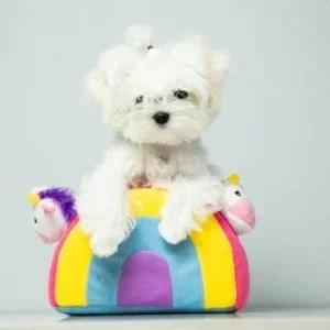 Zippy Paws Burrow - Unicorns in Rainbow