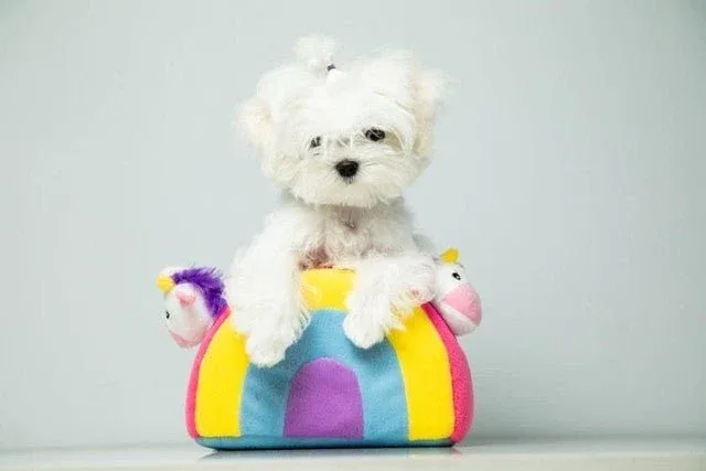 Zippy Paws Burrow - Unicorns in Rainbow