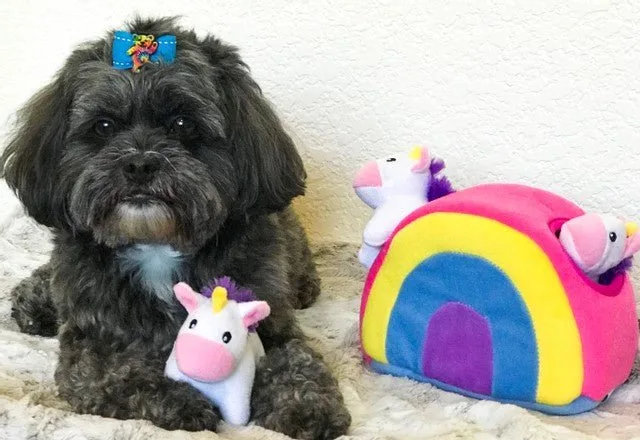 Zippy Paws Burrow - Unicorns in Rainbow - Image 2