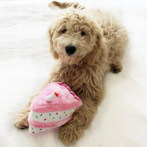 ZippyPaws NomNomz Plush Pink Birthday Cake Dog Toy - Image 2
