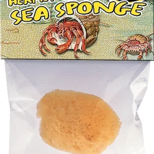 Zoo Med All Natural Hermit Crab Sea Sponge Yellow 1 Count