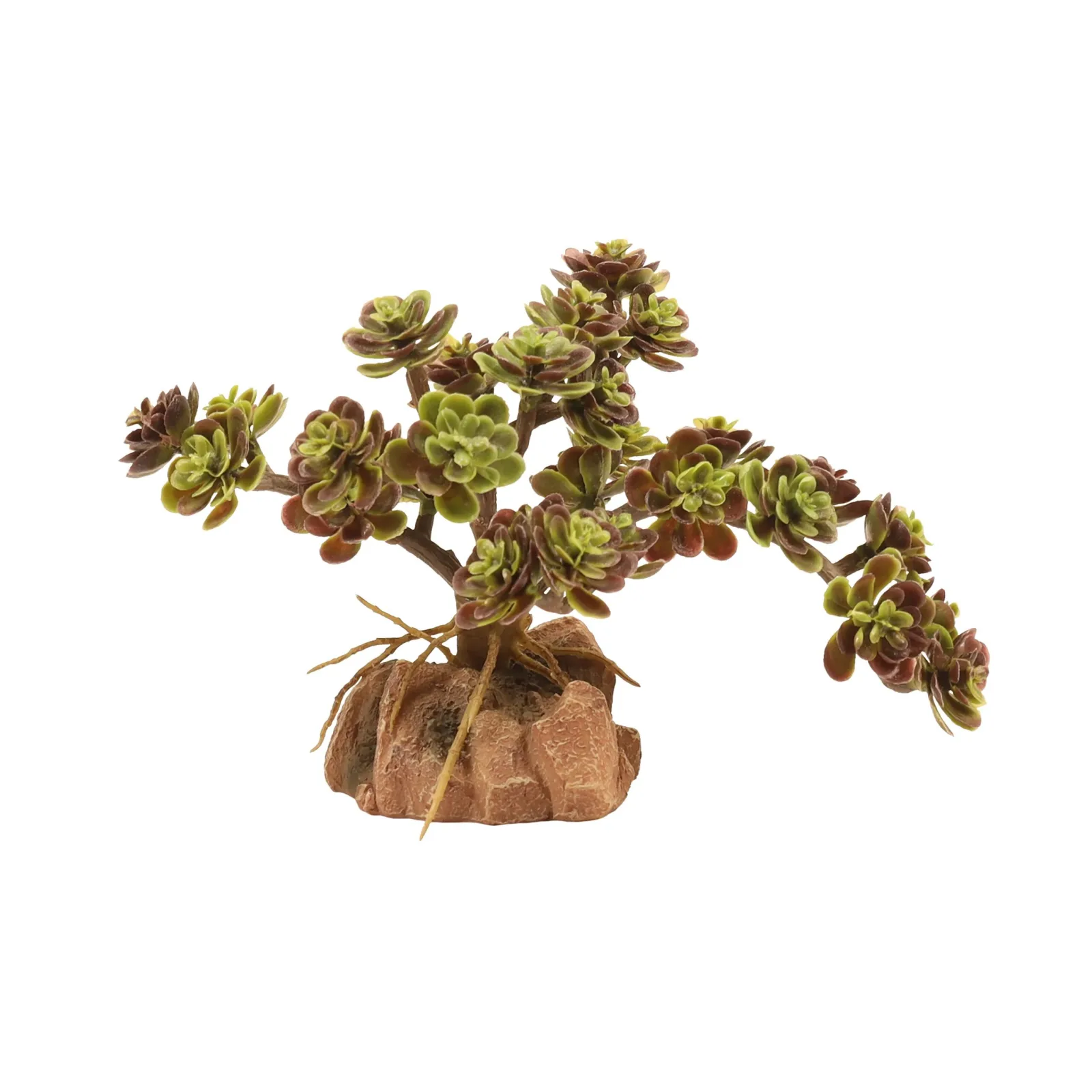 Zoo Med Desert Plant Ref Leaf Stonecrop - Image 2
