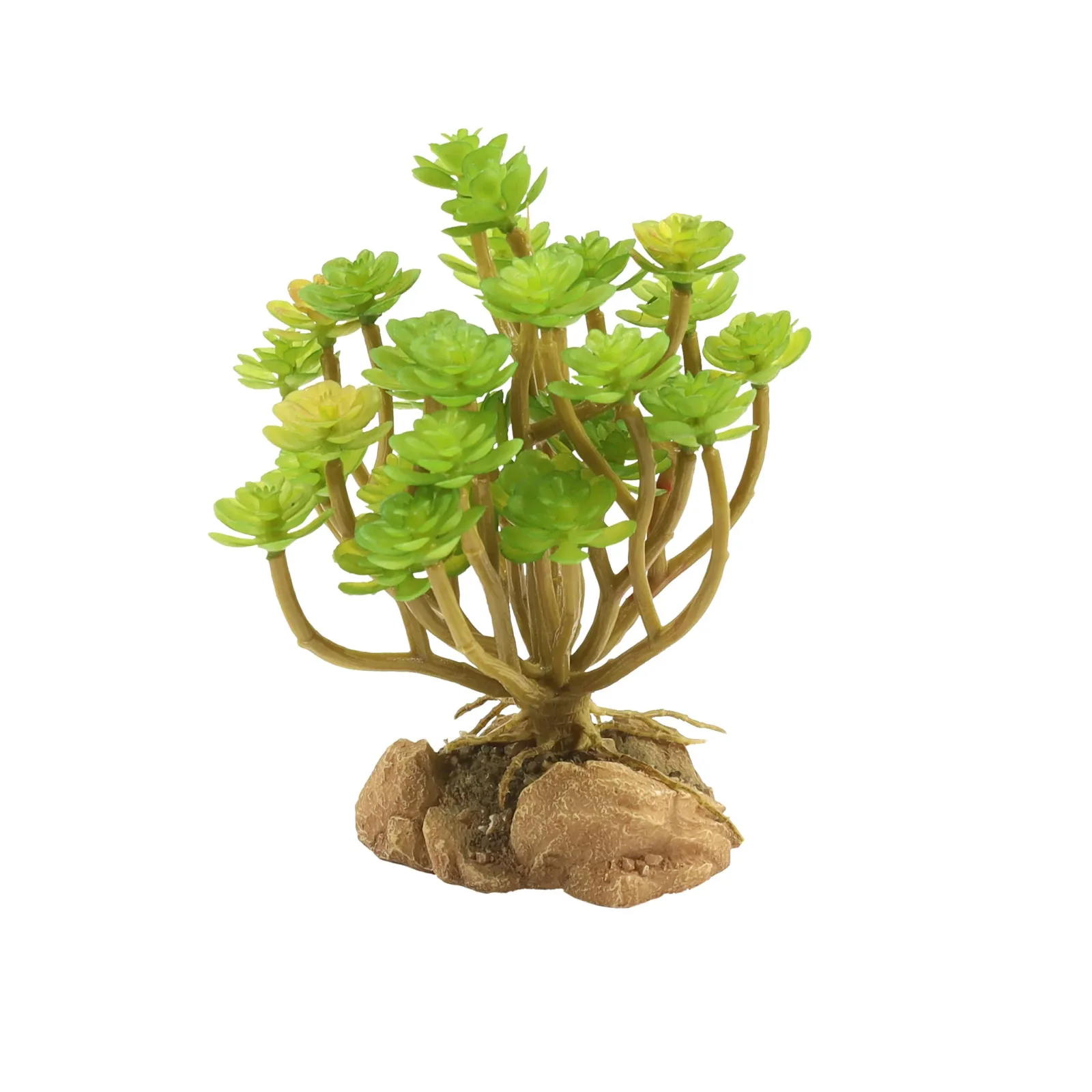 Zoo Med Desert Plant Tree Houseleek - Image 2