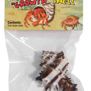 Zoo Med Hermit Crab Growth Shell Assorted, 1ea/LG, 1 pk