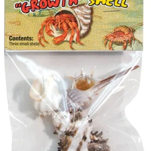 Zoo Med Hermit Crab Growth Shell Assorted, 1ea/SM, 3 pk