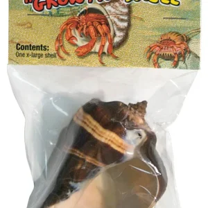 Zoo Med Hermit Crab Growth Shell Assorted, 1ea/XL, 1 pk