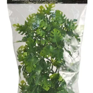 Zoo Med Natural Bush Amazonian Phyllo Plants Green 18in MD