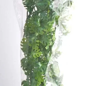 Zoo Med Natural Bush Amazonian Phyllo Plants Green 22in LG