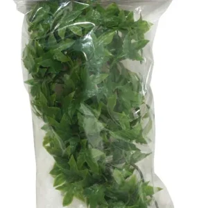 Zoo Med Natural Bush Congo Ivy Plants Green 14in SM