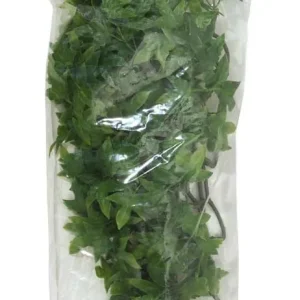 Zoo Med Natural Bush Congo Ivy Plants Green 18in MD