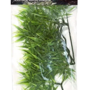 Zoo Med Natural Bush Madagascar Bamboo Plants Green 14in SM