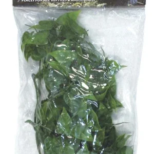 Zoo Med Natural Bush Mexican Phyllo Plants Green 14in SM