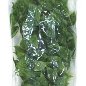 Zoo Med Natural Bush Mexican Phyllo Plants Green 18in MD
