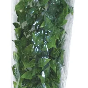 Zoo Med Natural Bush Mexican Phyllo Plants Green 22in LG