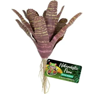 Zoo Med Naturalistic Flora Chestnut Bromeliad Terrarium Plant Purple, Tan, 1ea