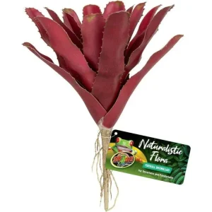 Zoo Med Naturalistic Flora Fireball Bromeliad Terrarium Plant Red, 1ea
