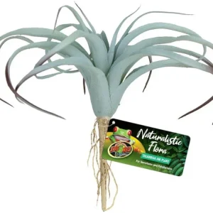Zoo Med Naturalistic Flora Tillandsia Air Plant Terrarium Plant Gray, Tan, 1ea