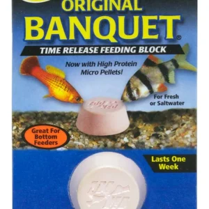 Zoo Med Original Banquet Fish Feeding Block 0.45 oz Regular