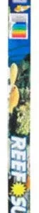 Zoo Med Reef Sun 50/50 Actinic & Daylight T8 Lamp White 48 in (DD)
