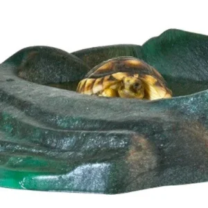 Zoo Med Repti Ramp Bowl Black LG