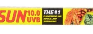 Zoo Med ReptiSun 10.0 UVB T8 Fluorescent Lamp White, 1ea/18 in