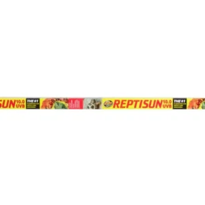 Zoo Med ReptiSun 10.0 UVB T8 Fluorescent Lamp White 24 in (D)