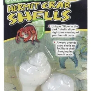 Zoomed Hermit Crab Glow in the Dark Shells 2 Pack