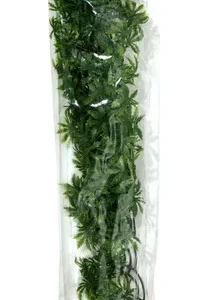 ZooMed Large Cannabis