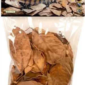 ZooMed Natural Jackfruit Leaf Litter for Terrariums
