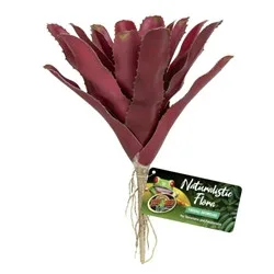 ZooMed Naturalistic Flora Fireball Bromeliad