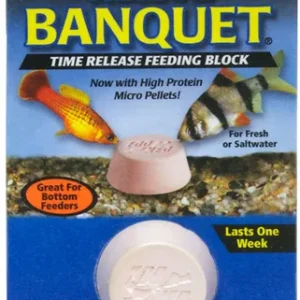 ZooMed Original Banquet Block Regular